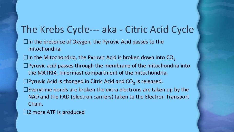 The Krebs Cycle--- aka - Citric Acid Cycle �In the presence of Oxygen, the