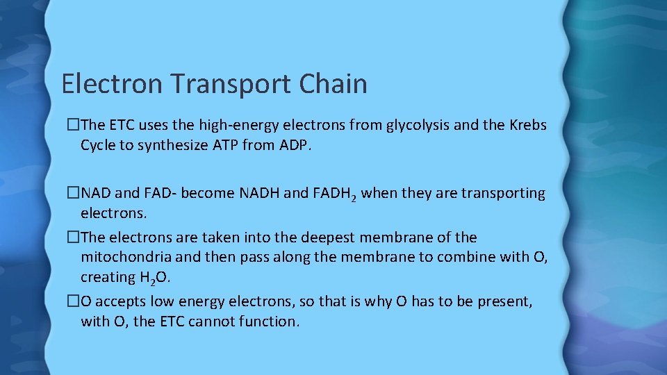 Electron Transport Chain �The ETC uses the high-energy electrons from glycolysis and the Krebs