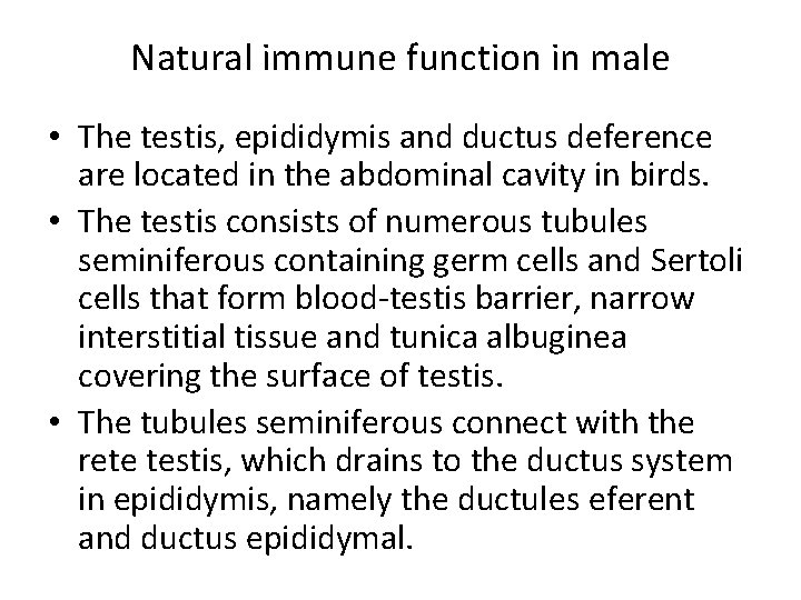 Natural immune function in male • The testis, epididymis and ductus deference are located Natural immune function in male • The testis, epididymis and ductus deference are located