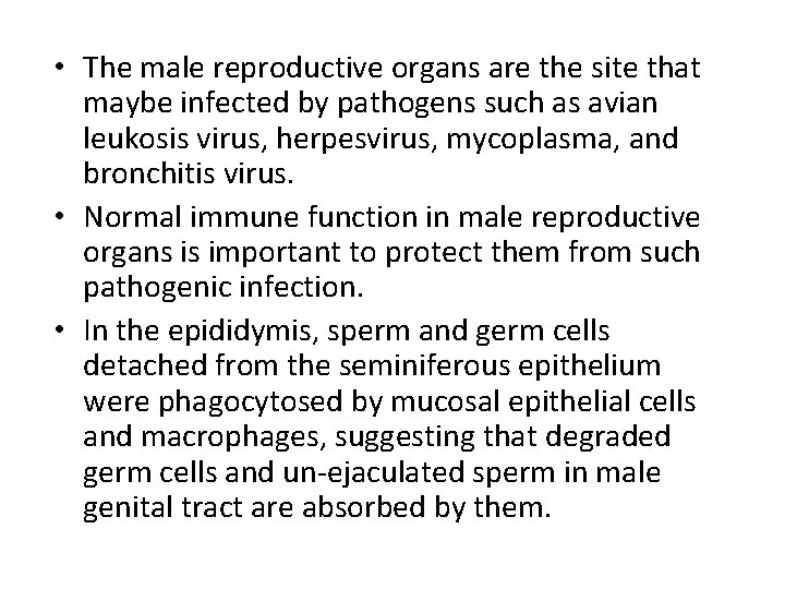 • The male reproductive organs are the site that maybe infected by pathogens • The male reproductive organs are the site that maybe infected by pathogens