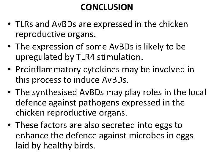 CONCLUSION • TLRs and Av. BDs are expressed in the chicken reproductive organs. • CONCLUSION • TLRs and Av. BDs are expressed in the chicken reproductive organs. •