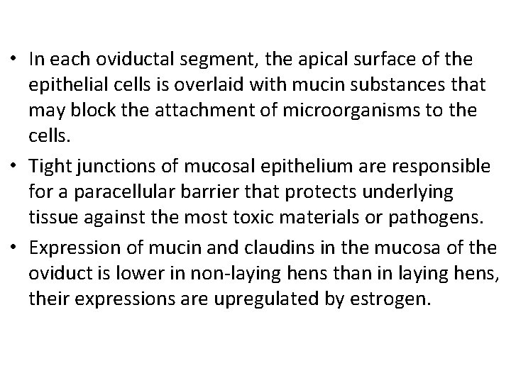 • In each oviductal segment, the apical surface of the epithelial cells is • In each oviductal segment, the apical surface of the epithelial cells is