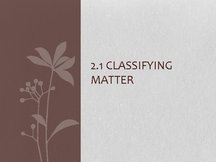 2. 1 CLASSIFYING MATTER 
