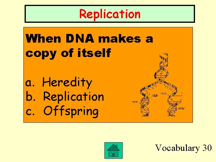 Replication When DNA makes a copy of itself a. Heredity b. Replication c. Offspring
