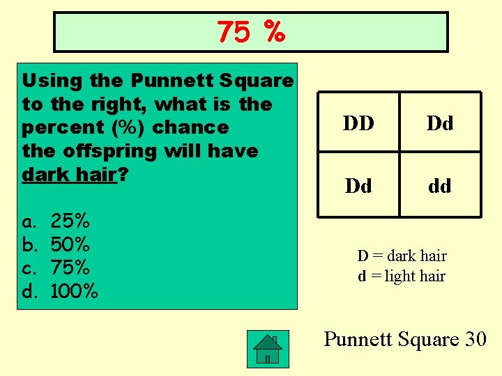 75 % Using the Punnett Square to the right, what is the percent (%)
