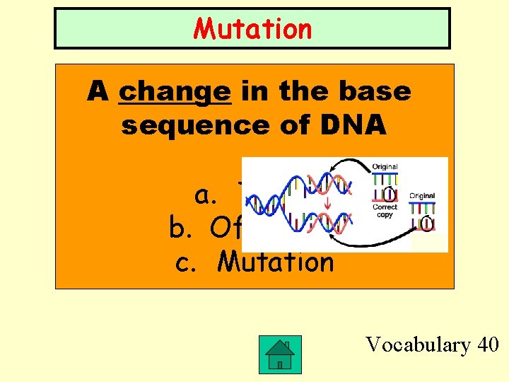 Mutation A change in the base sequence of DNA a. Trait b. Offspring c.