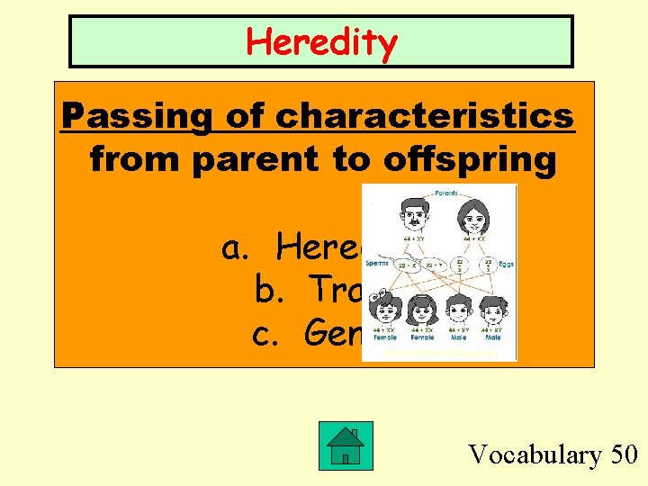 Heredity Passing of characteristics from parent to offspring a. Heredity b. Trait c. Gene