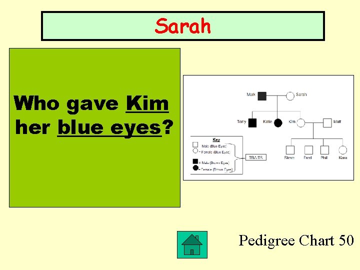 Sarah Who gave Kim her blue eyes? Pedigree Chart 50 