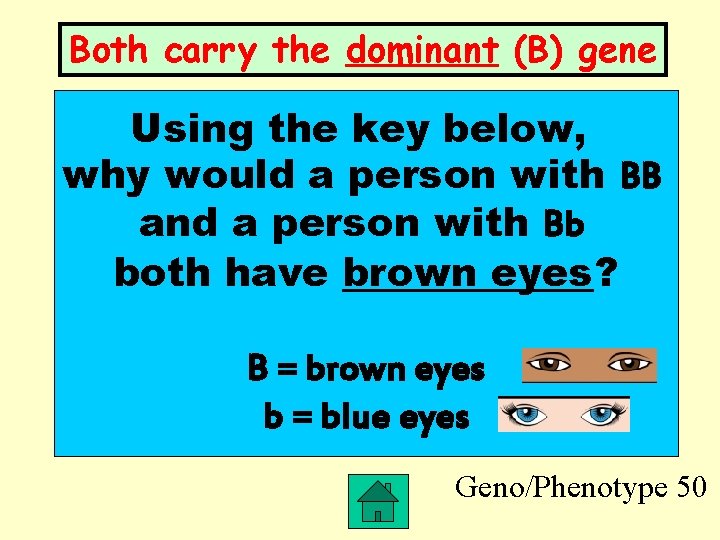 Both carry the dominant (B) gene Using the key below, why would a person