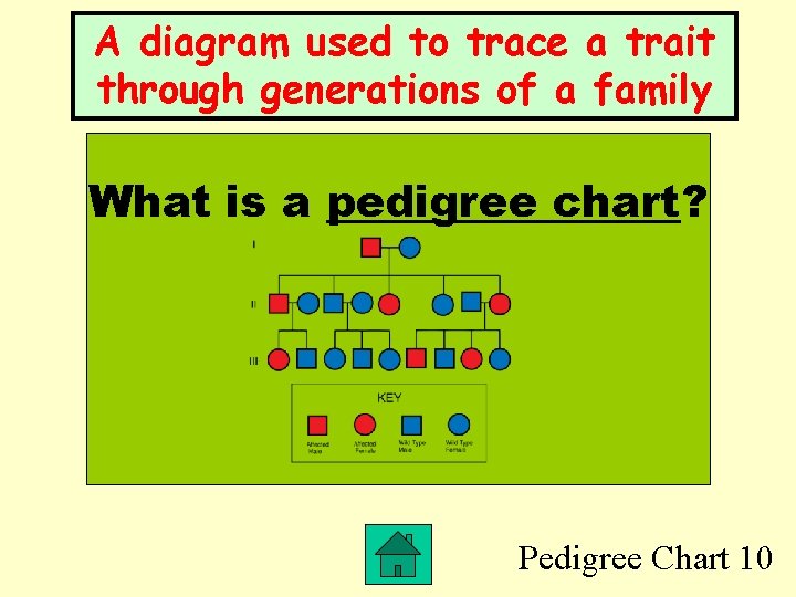 A diagram used to trace a trait through generations of a family What is