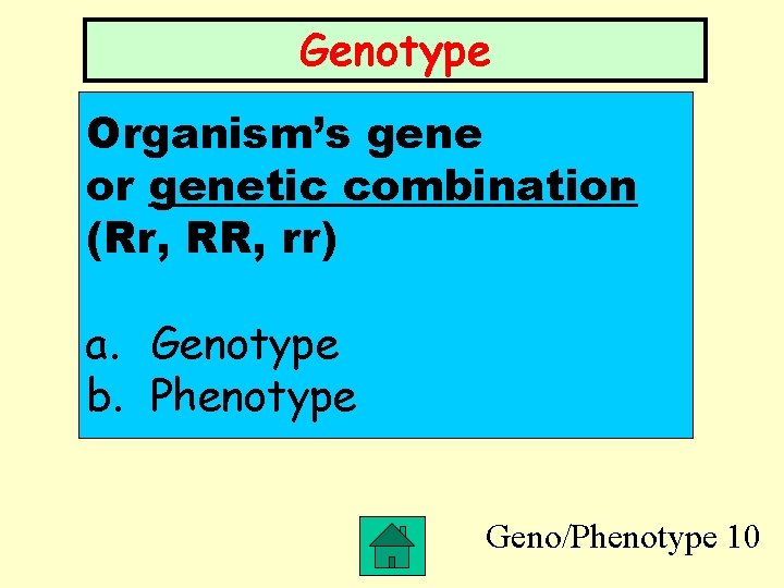 Genotype Organism’s gene or genetic combination (Rr, RR, rr) a. Genotype b. Phenotype Geno/Phenotype