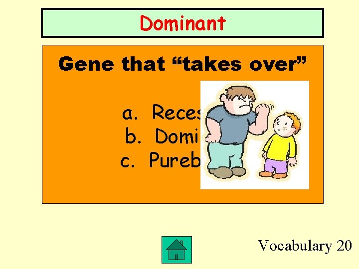 Dominant Gene that “takes over” a. Recessive b. Dominant c. Purebreed Vocabulary 20 