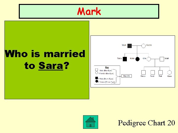 Mark Who is married to Sara? Pedigree Chart 20 