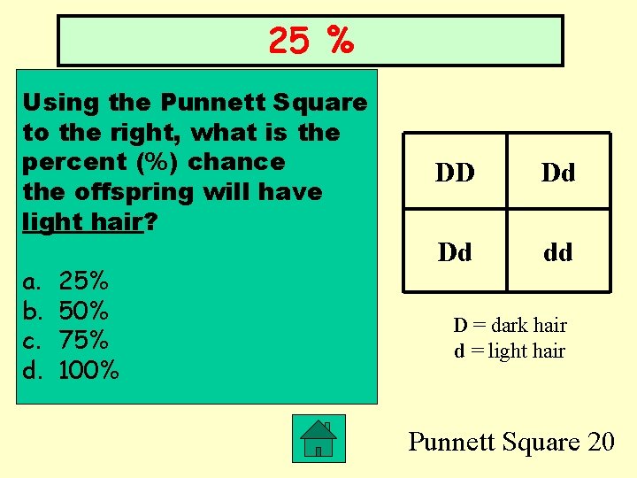 25 % Using the Punnett Square to the right, what is the percent (%)