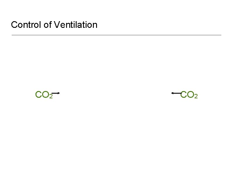 Control of Ventilation CO 2 