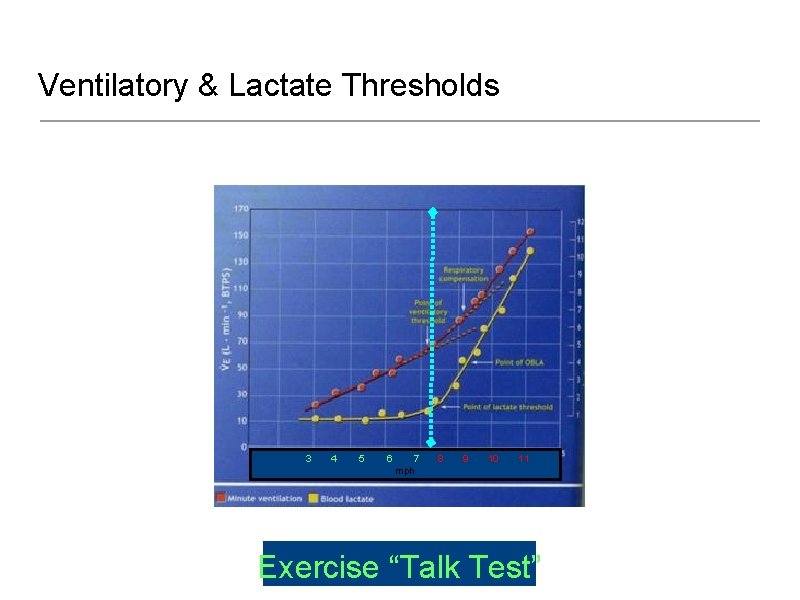 Ventilatory & Lactate Thresholds 3 4 5 6 7 mph 8 9 10 11