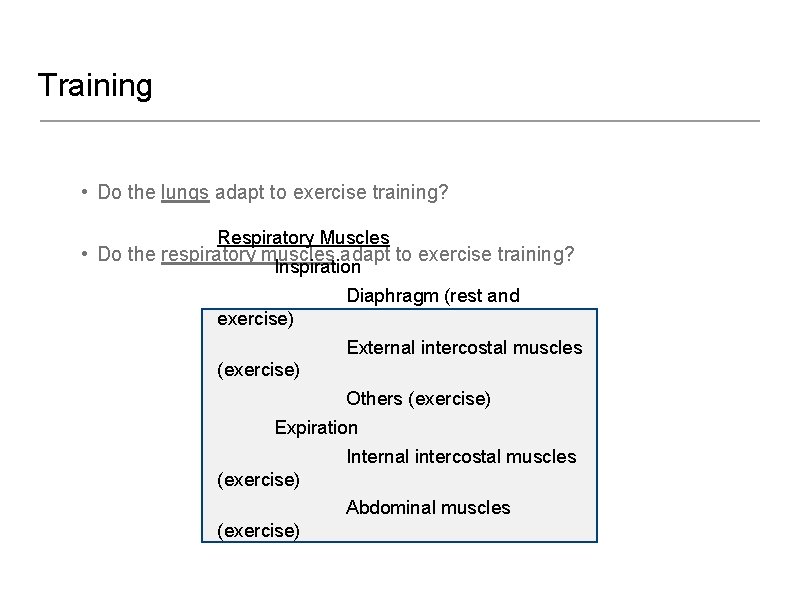 Training • Do the lungs adapt to exercise training? Respiratory Muscles • Do the