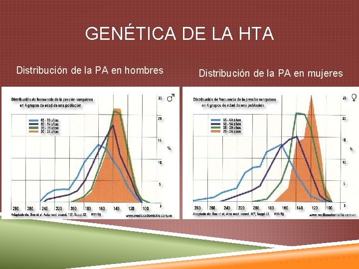 GENÉTICA DE LA HTA Distribución de la PA en hombres Distribución de la PA