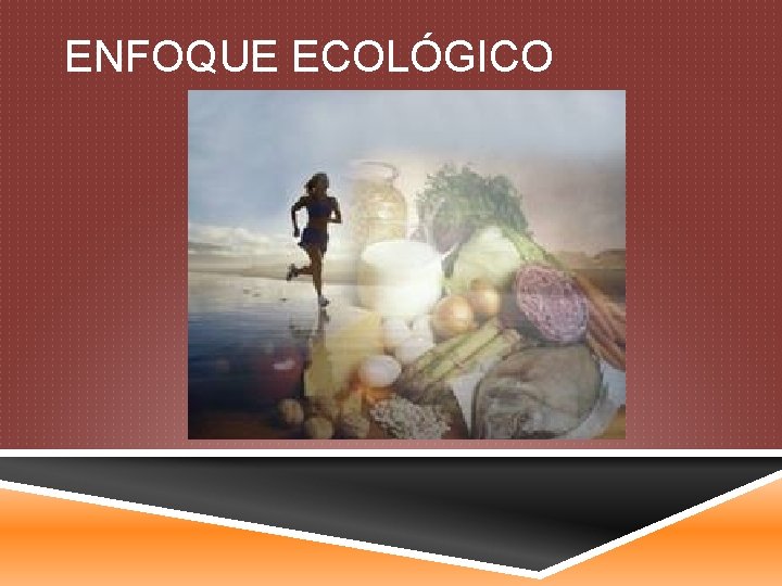 ENFOQUE ECOLÓGICO 