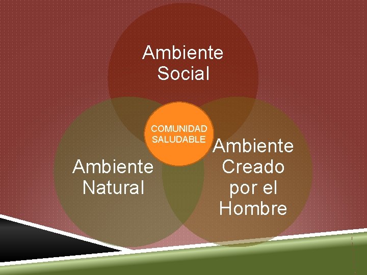 Ambiente Social COMUNIDAD SALUDABLE Ambiente Natural Ambiente Creado por el Hombre 