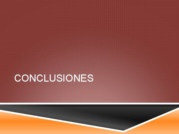 CONCLUSIONES 