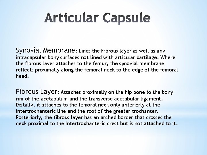 Synovial Membrane: Lines the Fibrous layer as well as any intracapsular bony surfaces not