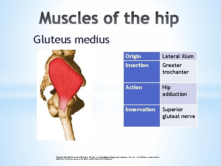 Gluteus medius Origin Lateral ilium Insertion Greater trochanter Action Hip adduction Innervation Superior gluteal