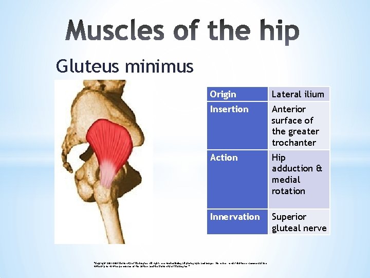 Gluteus minimus Origin Lateral ilium Insertion Anterior surface of the greater trochanter Action Hip