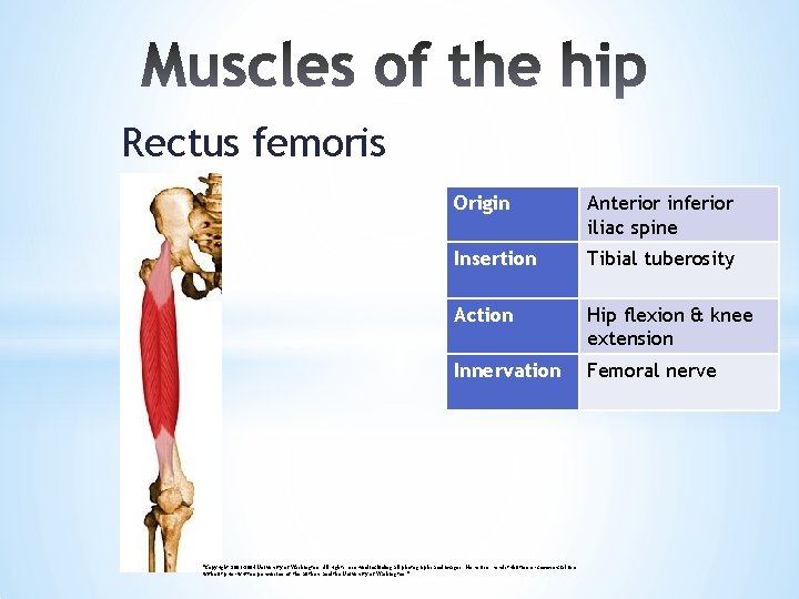 Rectus femoris Origin Anterior inferior iliac spine Insertion Tibial tuberosity Action Hip flexion &