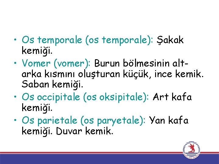  • Os temporale (os temporale): Şakak kemiği. • Vomer (vomer): Burun bölmesinin altarka