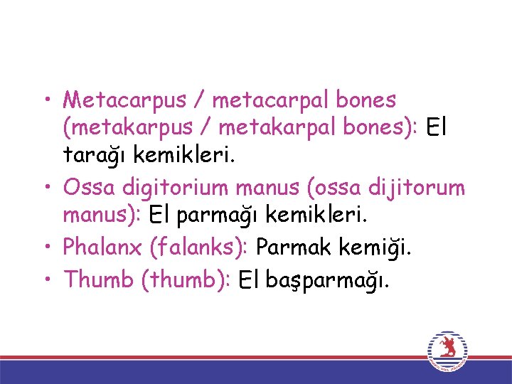  • Metacarpus / metacarpal bones (metakarpus / metakarpal bones): El tarağı kemikleri. •