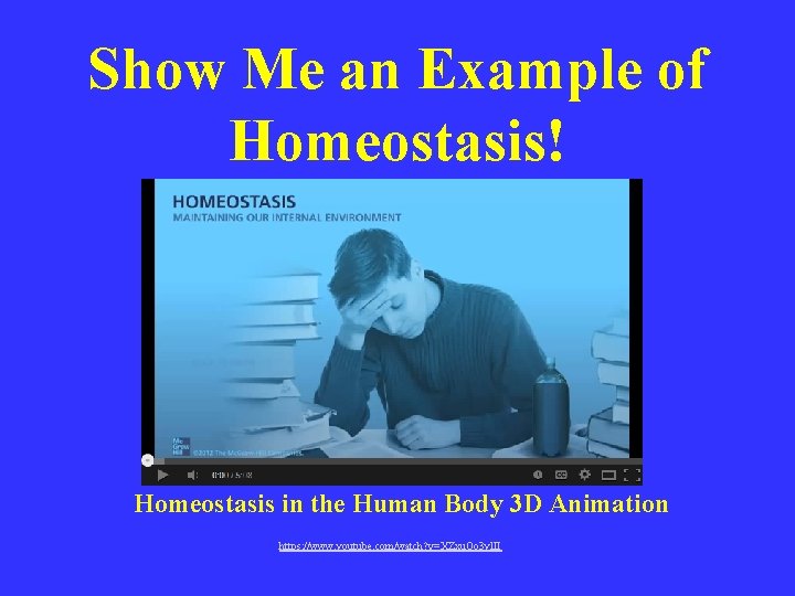 Show Me an Example of Homeostasis! Homeostasis in the Human Body 3 D Animation