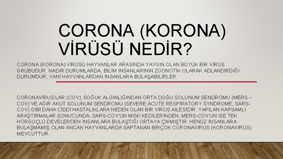 CORONA (KORONA) VİRÜSÜ NEDİR? CORONA (KORONA) VİRÜSÜ HAYVANLAR ARASINDA YAYGIN OLAN BÜYÜK BİR VİRÜS