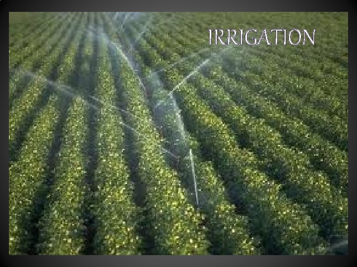 IRRIGATION 