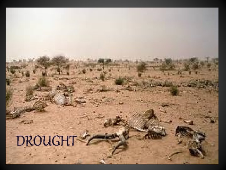 DROUGHT 