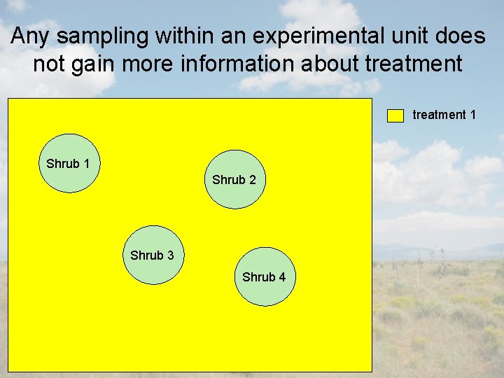 Any sampling within an experimental unit does not gain more information about treatment 1