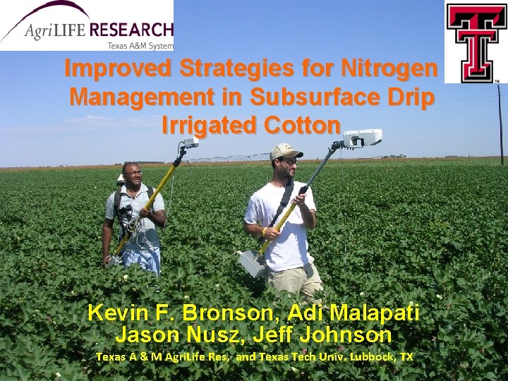 Improved Strategies for Nitrogen Management in Subsurface Drip Irrigated Cotton Kevin F. Bronson, Adi Improved Strategies for Nitrogen Management in Subsurface Drip Irrigated Cotton Kevin F. Bronson, Adi