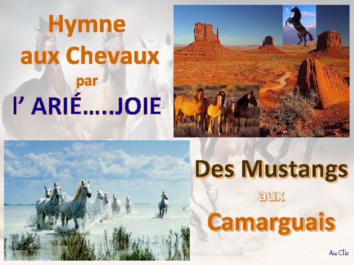 Hymne aux Chevaux par l’ ARIÉ…. . JOIE Des Mustangs aux Camarguais Au Clic