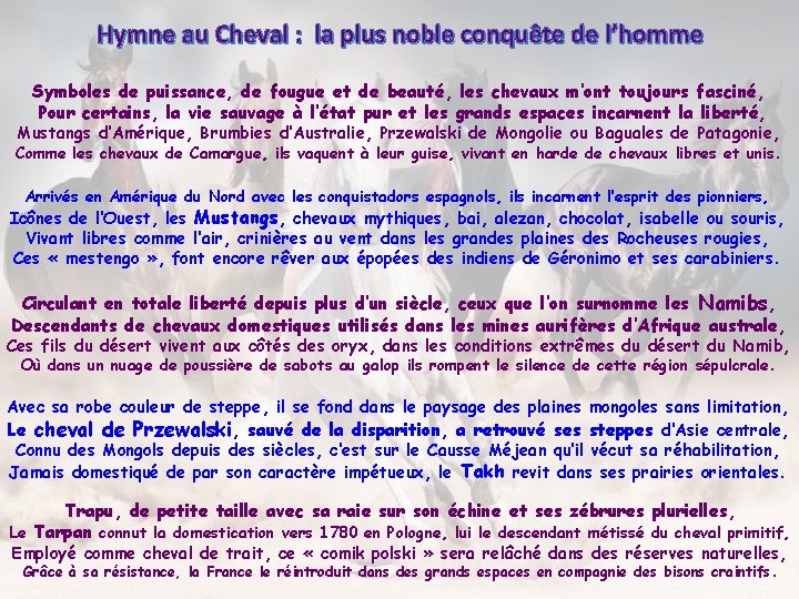 Hymne au Cheval : la plus noble conquête de l’homme Symboles de puissance, de