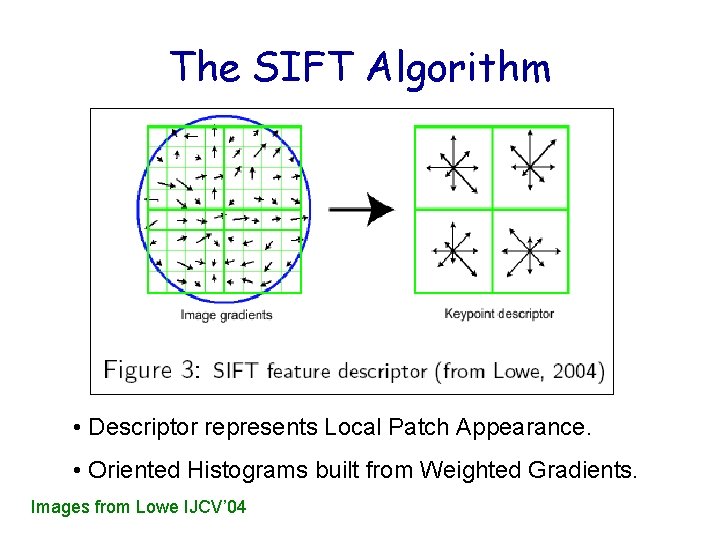 The SIFT Algorithm • Descriptor represents Local Patch Appearance. • Oriented Histograms built from