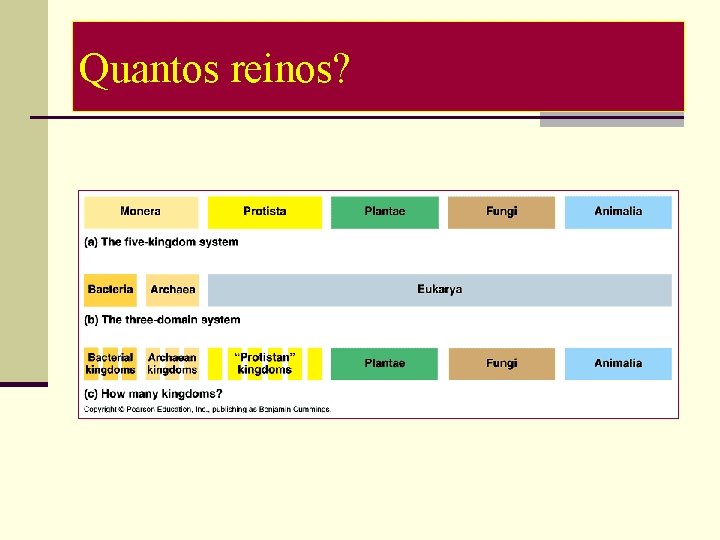 Quantos reinos? 