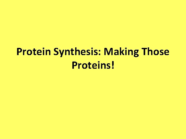 Protein Synthesis: Making Those Proteins! 