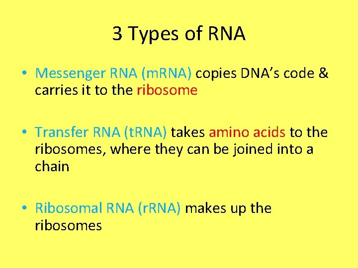 3 Types of RNA • Messenger RNA (m. RNA) copies DNA’s code & carries