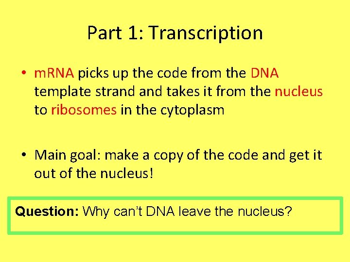 Part 1: Transcription • m. RNA picks up the code from the DNA template