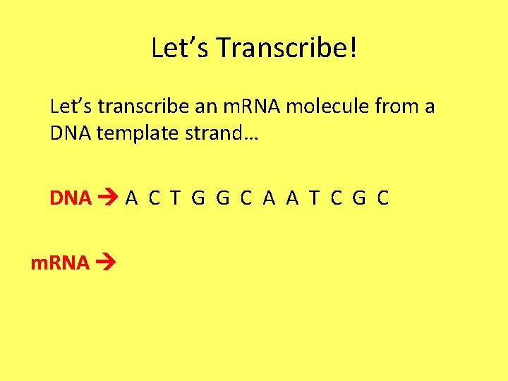 Let’s Transcribe! Let’s transcribe an m. RNA molecule from a DNA template strand… DNA