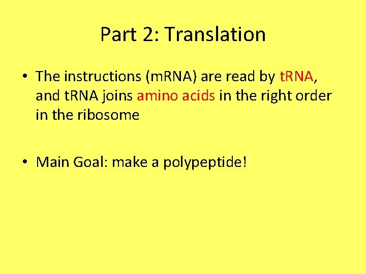 Part 2: Translation • The instructions (m. RNA) are read by t. RNA, and