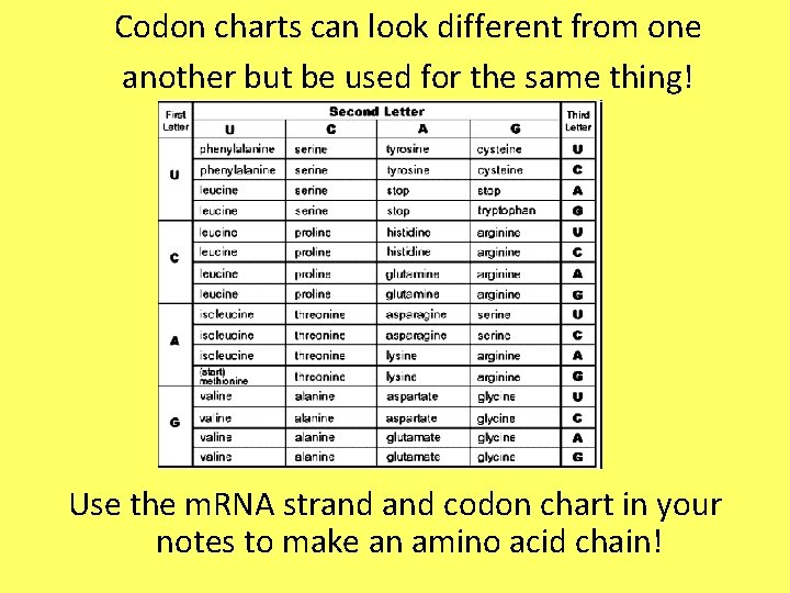 Codon charts can look different from one another but be used for the same