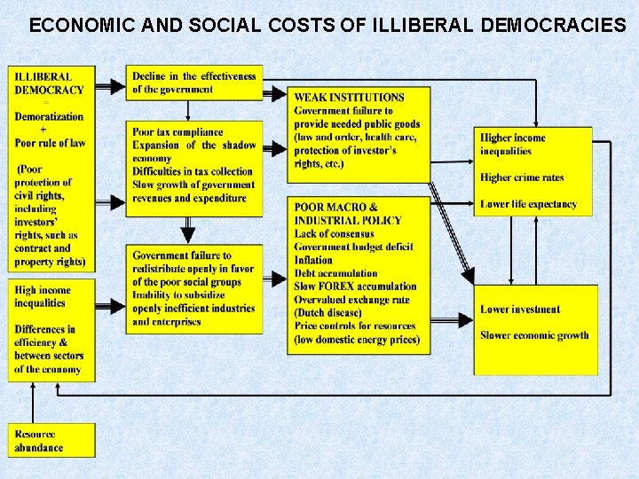 ECONOMIC AND SOCIAL COSTS OF ILLIBERAL DEMOCRACIES 
