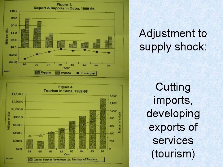 Adjustment to supply shock: Cutting imports, developing exports of services (tourism) 