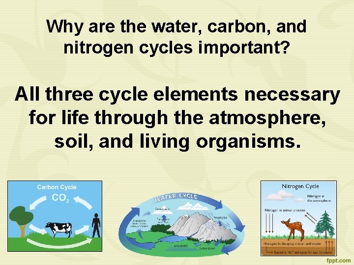 Why are the water, carbon, and nitrogen cycles important? All three cycle elements necessary